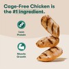 Jinx Grain-Free Dry Dog Food with Chicken, Sweet Potato & Carrot Flavor - 2 of 4