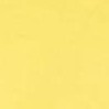winning yellow
