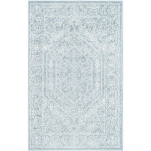 Adirondack ADR108 Non-Shedding Power Loomed Indoor Rugs - Safavieh - 1 of 4