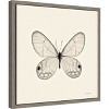 Amanti Art Butterfly I BW Crop by Debra Van Swearingen Canvas Wall Art Print Framed 16-in. x 16-in. - 3 of 4