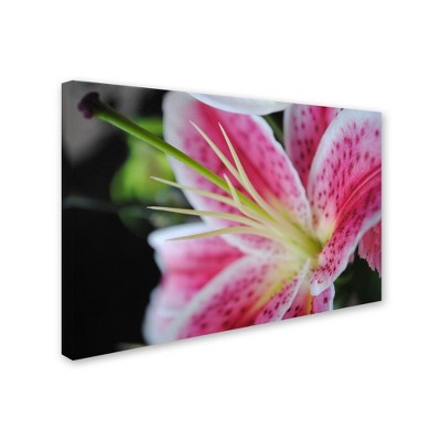 Trademark Fine Art-Monica Fleet 'Pink Flower' Matted Framed Art