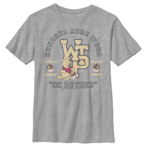 Boy's Winnie the Pooh Bear Collegiate T-Shirt - 1 of 4