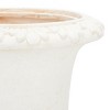 Paul Planter - Indoor/Outdoor - PAT5037 - Safavieh - 4 of 4