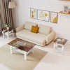 KWPZQEB Set of 2 Modern Tempered Glass Tea Table with Metal Frame and Storage Shelves, Modern Coffee Table, End Table for Living Room, Balcony - 3 of 4