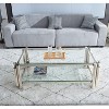 NicBex Modern Double-Layer Clear Tempered Glass Coffee Table with Stainless Steel Legs,Storage Center Table for Living Room - 2 of 4