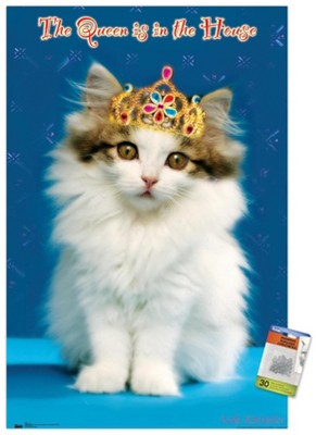 GB Eye Maxi Poster Keith Kimberlin – Gatto Collage, 61 X 91,5 Cm, GN0330