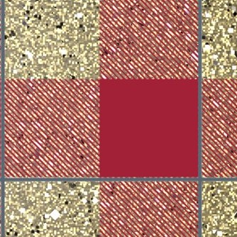 washington state cougars