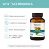 Himalaya Rhodiola for Energy and Stress and Exercise Endurance, 250 mg, 60 Vegan Capsules, 1 Month Supply - 4 of 4