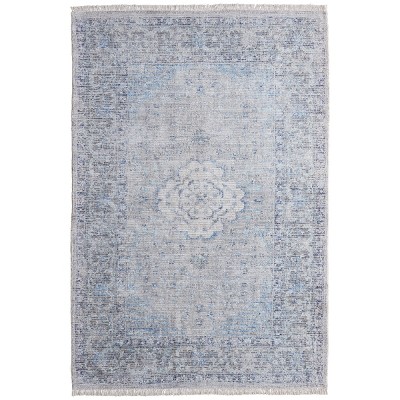 Caldwell Transitional Medallion Gray/Blue/Ivory Area Rug