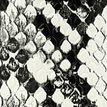 white snakeskin