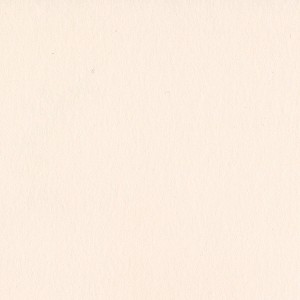 Bazzill Card Shoppe Heavyweight Cardstock 12"X12" - 1 of 1
