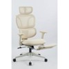 NicBex Adjustable Ergonomic Office Chair with Footrest,Dynamic Lumbar Support,2D Headrest,2D Armrest for Work Study,Cream - 2 of 4