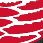 detroit red wings