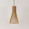 Sonjay 9.75" Height Adjustable Pendant - PND4161 - Natural - Safavieh - 2 of 4