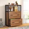 Hommoo 2-Drawer File Cabinet, Letter/Legal / A4 Size Filing Cabinet with Lock - 3 of 4
