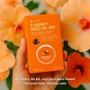 K-BERRY Bokbunja Seed Oil Softgels (30ct) - Powerful Antioxidant & Immune Support w/ Korean Black Raspberry - 2 of 4