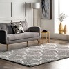 Nuloom Malika Soft & Cozy Trellis Shag Indoor Area Rug - 2 of 4