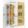 CRANACH Thermostatic Valve 8-Spray Wall Mount Dual 12 in Shower Head with 3-Jets - image 4 of 4