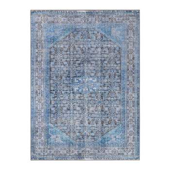 Classic Traditional Medallion Indoor Flatweave Area Rug or Runner by Blue Nile Mills