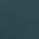 dark teal volley shorts