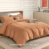 3 pieces Duvet Cover Soft Double Brushed Bedding Set for Kids & Adults Zipper Closure - 2 of 4