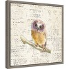 Amanti Art Into the Woods II no Border (Owl) by Emily Adams Canvas Wall Art Print Framed 16-in. x 16-in. - 3 of 4