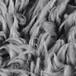 grey - solid