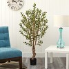 Olive Tree 5ft - Silk Artificial Tree, Realistic Greenery for Home Office Decor - 4 of 4