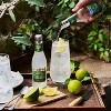 Fever Tree Ginger Ale - Premium Quality Mixer - Refreshing Beverage for Cocktails & Mocktails 200ml Bottles - image 3 of 4