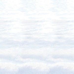 Beistle Snowscape Backdrop - 4 ft x 30 ft - White - 1 of 1