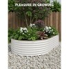 2 Pcs Galvanized Steel Raised Garden Beds, Outdoor Planter Boxes for Vegetables & Flowers - 4 of 4
