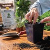 Wakefield BioChar Organic Soil Conditioner for Indoor and Outdoor Use - 4 of 4