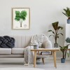 Stupell Industries Vintage Fan Palm Plant Floating Frame Canvas Art - 3 of 4