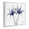 Stupell Industries X-Ray Lily Flowers Black Framed Giclee Art - 3 of 4
