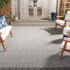 Courtyard CY8522 Power Loomed Indoor and Outdoor Rug - Safavieh - 2 of 4