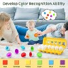 Etokfoks 12 Piece Matching Eggs Set Color and Shape Recognition Montessori Toy for Toddlers Sensory Learning Fine Motor Skills Ages 18M+ - 3 of 4