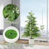 Compact Artificial Cedar Topiary Trees ¨C 2 Pack Faux Evergreen in White Pots ¨C UV Resistant Decorative Potted Pine - 2 of 4