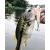 Heddon Feather Dressed Super Jr 1/2 oz Fishing Lure - 3 of 3