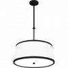 Quoizel Lighting Kylen 4 - Light Pendant in  Matte Black - 4 of 4