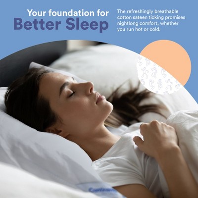 Standard White Goose Down and Feather Blend Firm Sleep Pillow Set