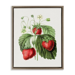 Stupell Industries Vintage Strawberries Study, 21" x 17" - 1 of 4