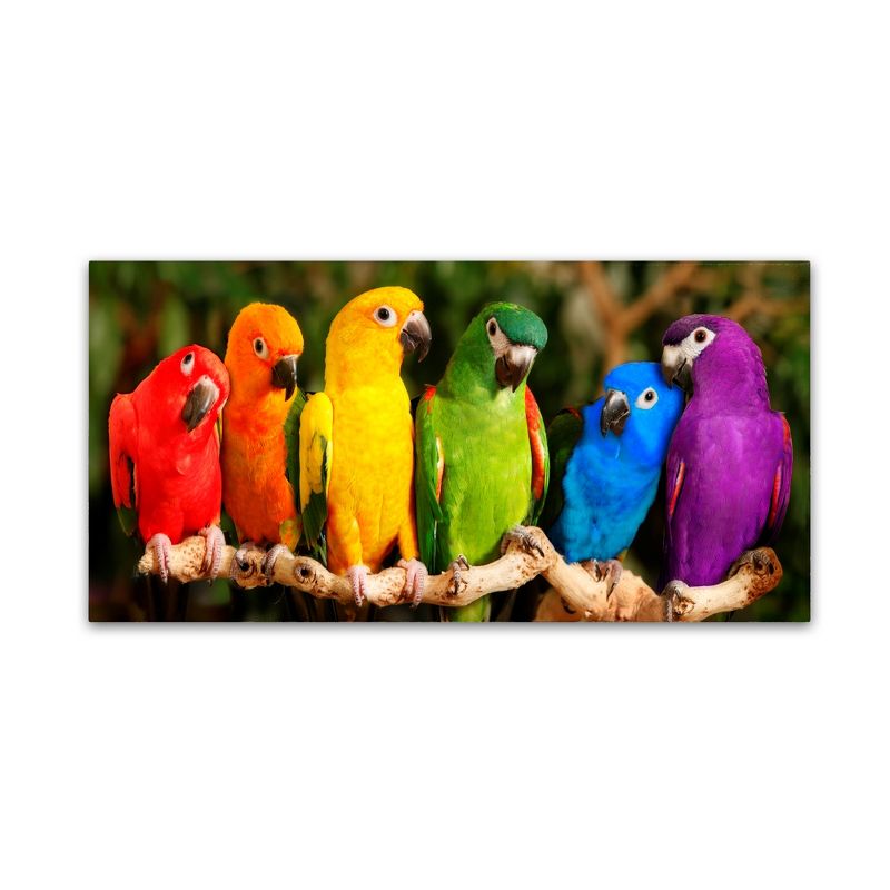 Trademark Fine Art -Mike Jones Photo 'Rainbow Parrots' Canvas Art, 2 of 4