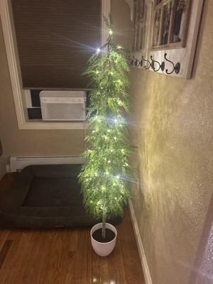 Guest review image 1 of 3, zoom in