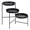 Kate and Laurel Finn Round Metal Plant Stand, 13x13x22, Black - 2 of 4