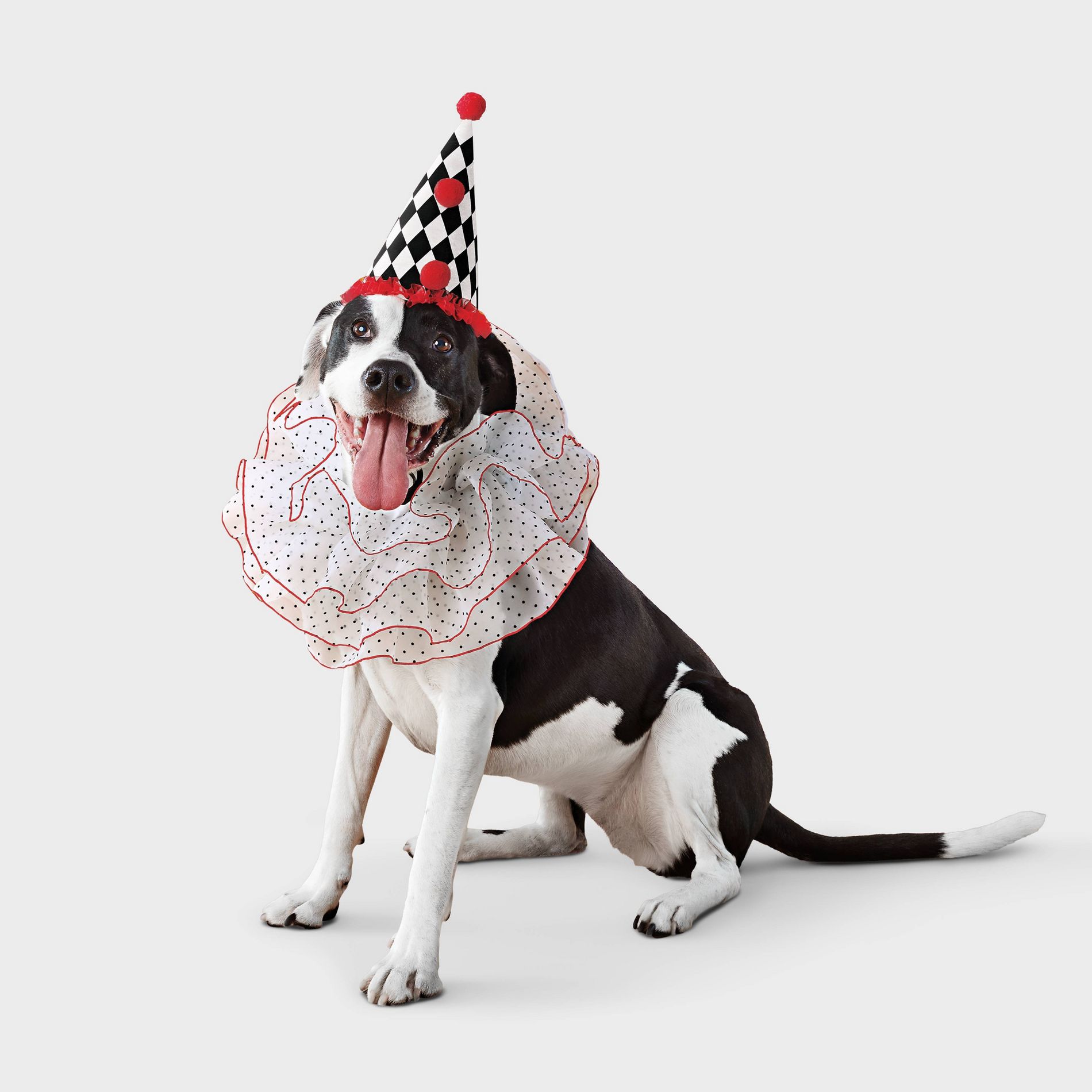 Clown Dog Costume Set - Boots & Barkley™
