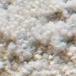 light gray, medium gray, dark brown, medium brown