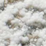 light gray, medium gray, dark brown, medium brown