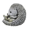 Roman 7.5" Gray and White Outdoor Hedgehog in Rain Boots Garden Statue - image 2 of 3