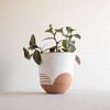 Large Natural Terracotta Painted Planter - Foreside Home & Garden - 3 of 4