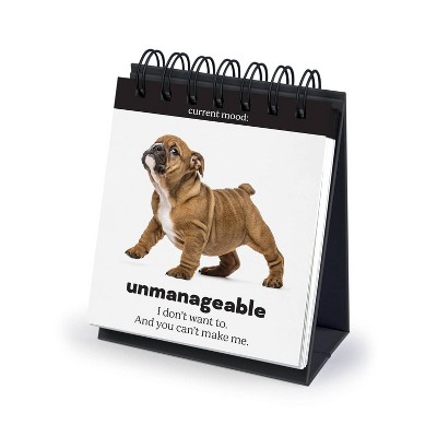 Daily Doggo and Daily Cattitudes Desk Tool: Fred & Friends Desktop Signage, Paperboard, 6.1" Height, White
